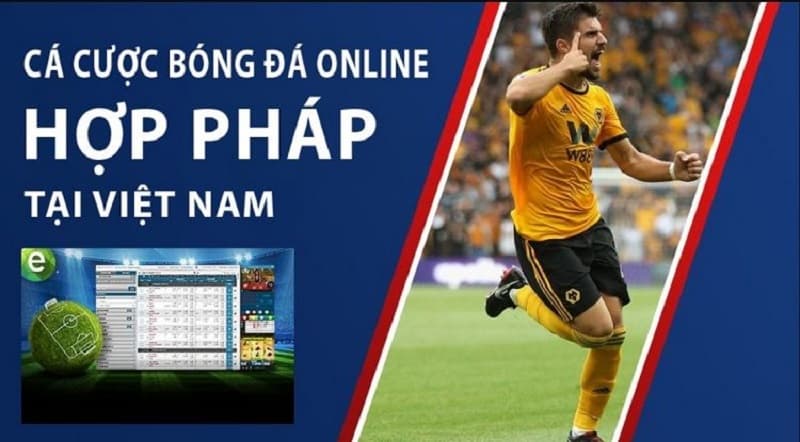 cá cược thể thao hợp pháp