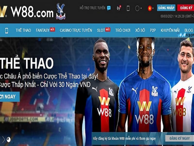 cá cược thể thao hợp pháp