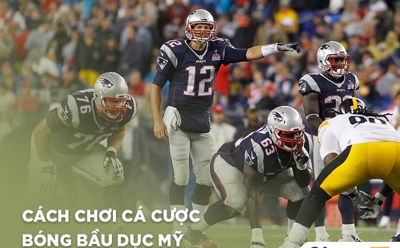 kết quả bóng bầu dục mỹ