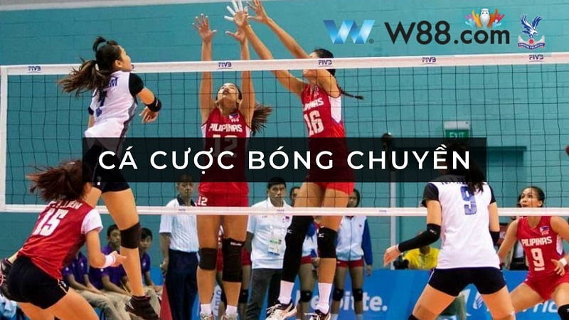 kinh nghiệm cá cược bóng chuyền