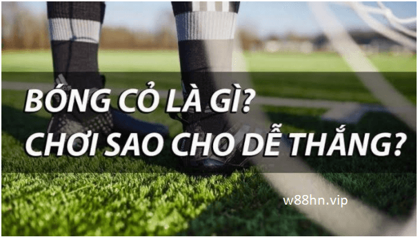 Bóng cỏ là gì