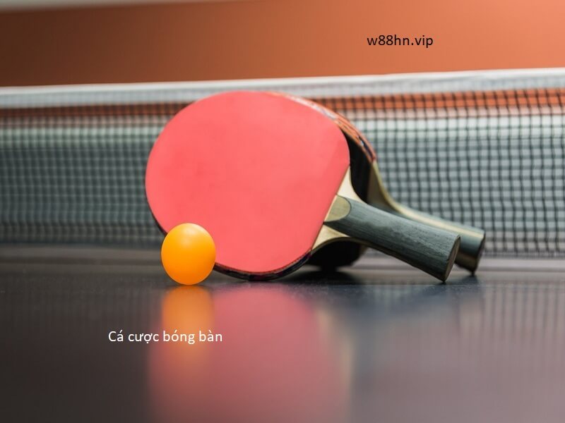 Cá cược bóng bàn tại nhà cái uy tín W88