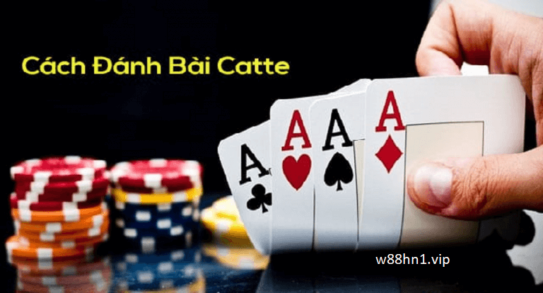 Cách đánh bài catte trực tuyến